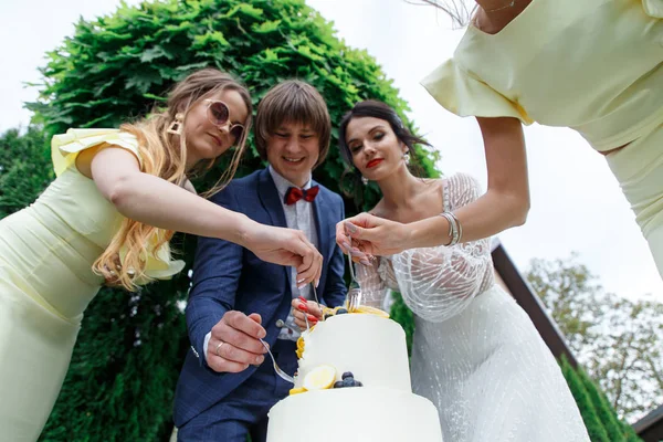 Jonggehuwden en bruidsmeisjes hebben plezier — Stockfoto