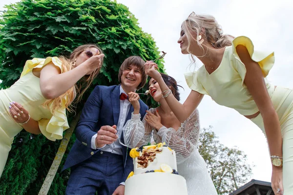 Newlyweds and bridesmaids have fun — Stock Photo, Image