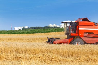 Çalışma hasat birleştirmek