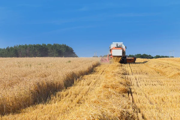 Combine harvester working — Stock Photo, Image