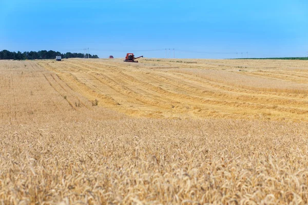 Combine harvester working — Stock Photo, Image