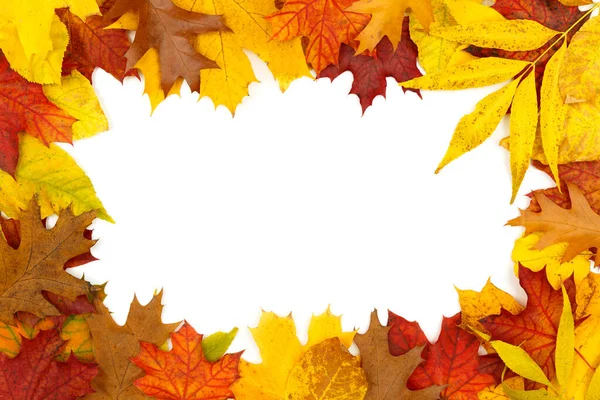 Border frame of colorful autumn dry leaves — Stock Photo, Image