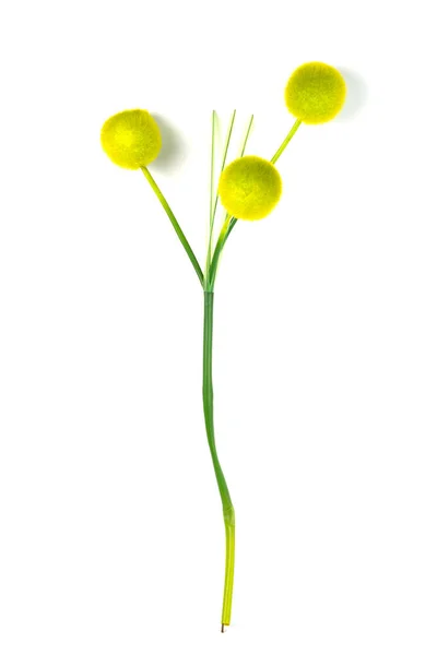 Vacker Konstgjord Blomma Isolerad Vit Bakgrund — Stockfoto