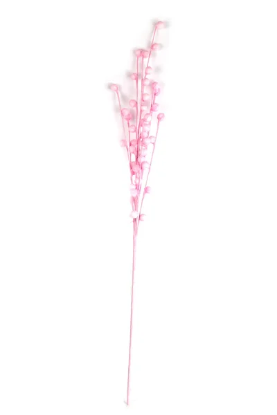 Schöne Künstliche Zweig Isoliert Auf Weißem Hintergrund — Stockfoto