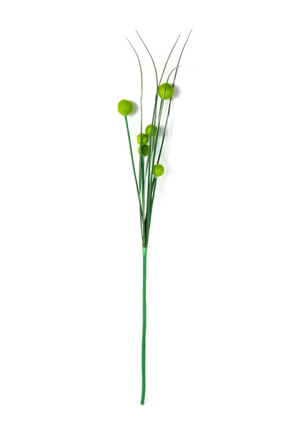 Schöne Künstliche Zweig Isoliert Auf Weißem Hintergrund — Stockfoto