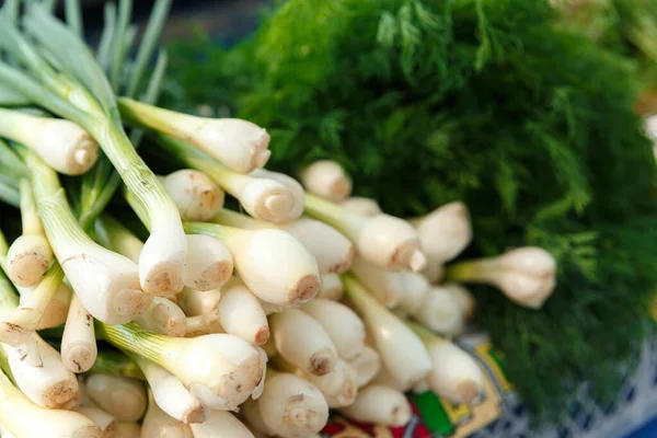 Stack Ripe Green Onion Counter Belarussian Market Fresh Vegetables Street — Stock Photo, Image