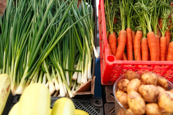 Πράσινο Κρεμμύδι Καρότο Πατάτες Και Κολοκύθες Στον Πάγκο Της Αγοράς — Φωτογραφία Αρχείου