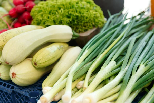 ベラルーシ市場のカウンターに熟した緑のタマネギとスカッシュを積み上げてください 通りのバザーで新鮮な野菜 — ストック写真