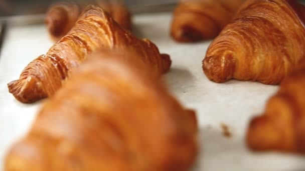 Färsk God Fransk Croissant Bara Ugnen — Stockvideo