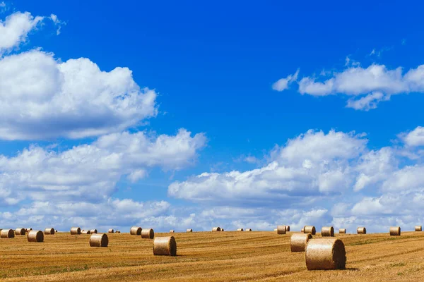 Vista Amplo Campo Colhido Com Grandes Fardos Palha Amarela Sob — Fotografia de Stock