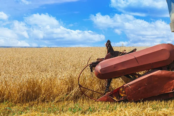 The combine harvests ripe wheat in the grain field. Agricultural work in summer. Header close up.