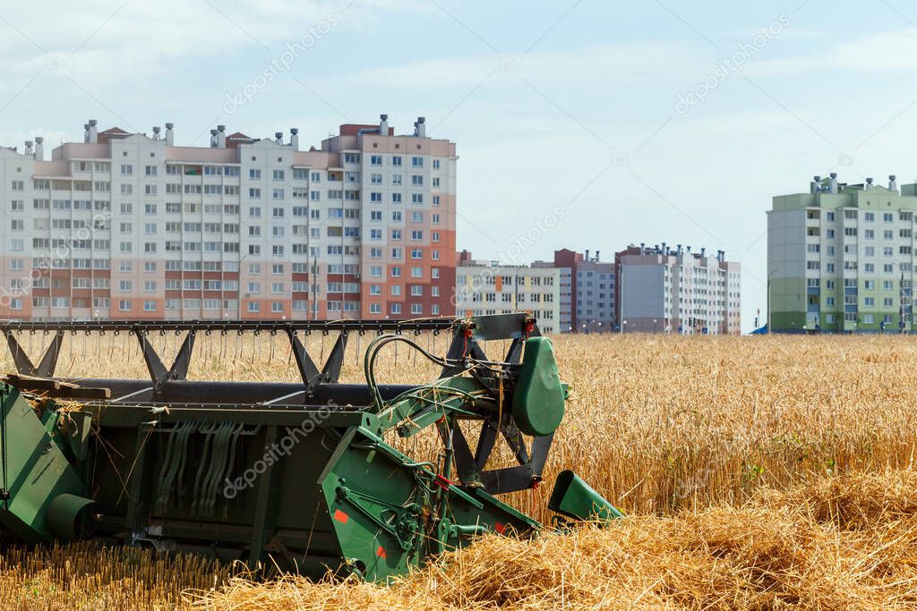 The combine harvests ripe wheat in the grain field near a residential area . Agricultural work in summer. Header close up.