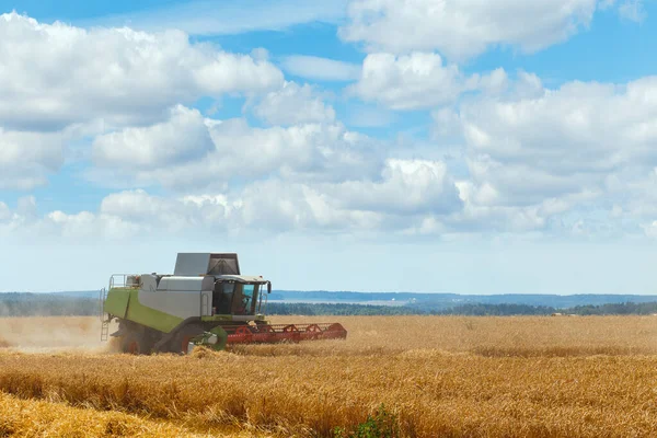 这种组合在谷物地里收获成熟的小麦 夏季的农业工作 — 图库照片