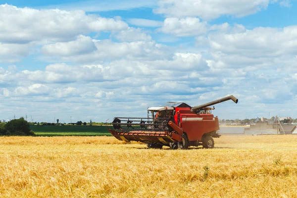 Las Cosechas Combinan Trigo Maduro Campo Grano Operador Cosechadora Está —  Fotos de Stock