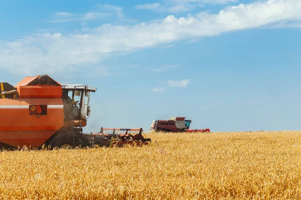 Due Combina Raccolti Grano Maturo Nel Campo Grano Lavoro Agricolo — Foto Stock