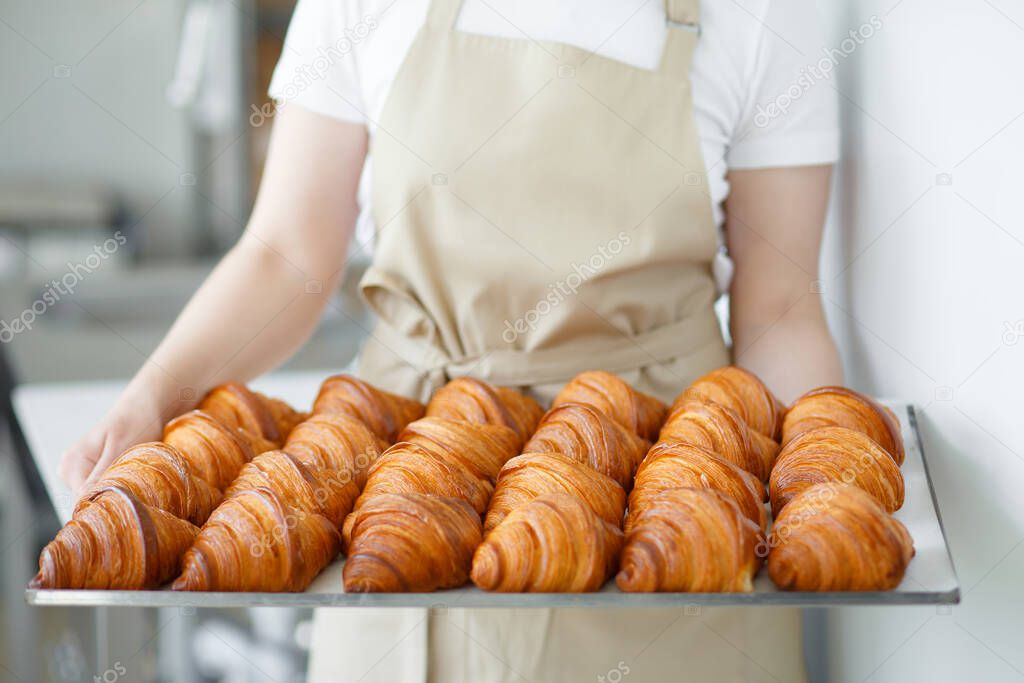 Baker carrying freshly baked crispy golden croissants on a metal tray to cool. Holding it by the sides.