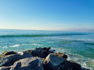 Taş plaj. Kaya ve denizde iki martı