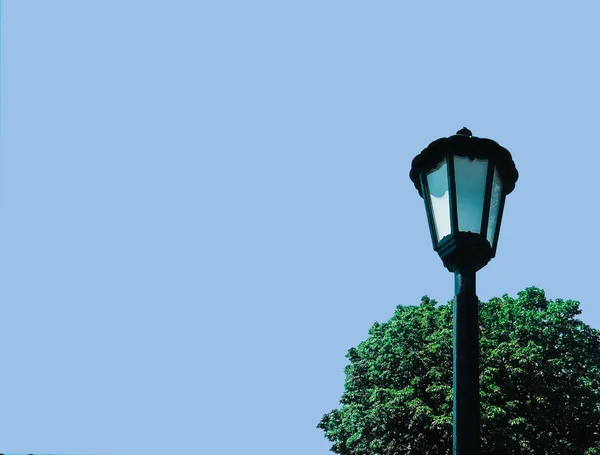 Street lamp. Tree and blue sky in background.