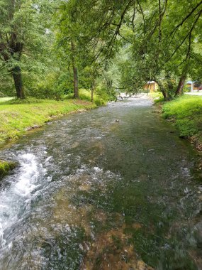 Temiz suyla nehir yatağını daralt. Yüksek ağaçları ve zengin gölgelikleri olan sahil.