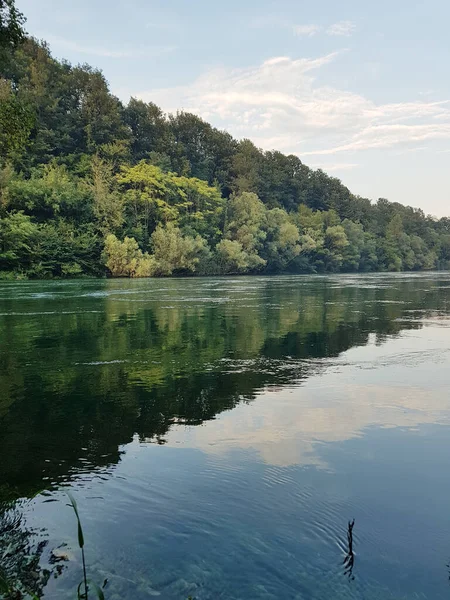 Landscape from the river. The calm water of the river is a reflection of the wooded shore with tall trees