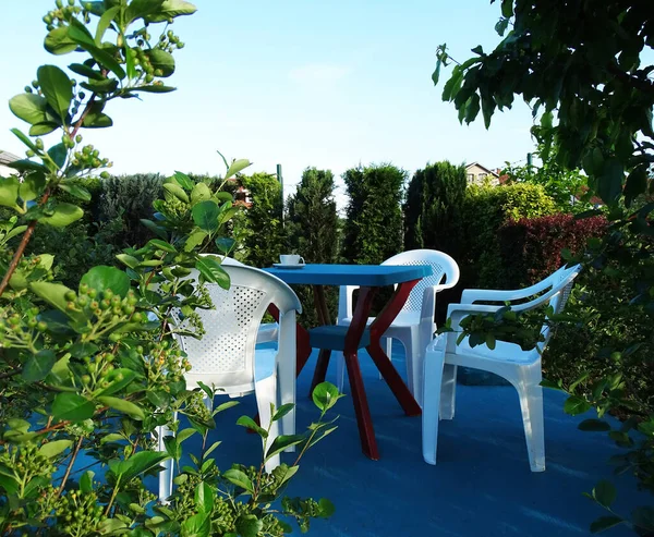 Verde Paesaggistico Circonda Mobili Giardino Relax Divertimento — Foto Stock