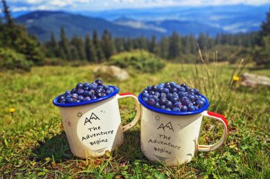 Hiking in the mountains ,summer vacation. Two cups of  blueberries on background of sunny mountains grass and hills .Organic natural products, collected  in Carpathian ,Dragobrat ,Ukraine clipart