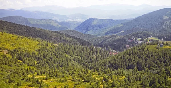 Yeşil Çam Ağaçları Karpat Dağları Yaz Aylarında Çerçevede Köyün Evleri — Stok fotoğraf