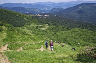 Mutlu baba tutun Karpat Dağlarında yürüyüş bebek taşıyıcı arkada üzerinde erkek bebek. Seyahat macera ve etkinlik çocuklarla, aktif ve sağlıklı yaşam tarzı aile yaz tatil Dragobrat, Ukrayna'da hiking. 