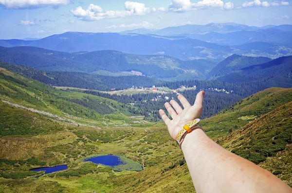 Nahaufnahme Der Hand Auf Der Spitze Des Berges Grüne Tannen — Stockfoto