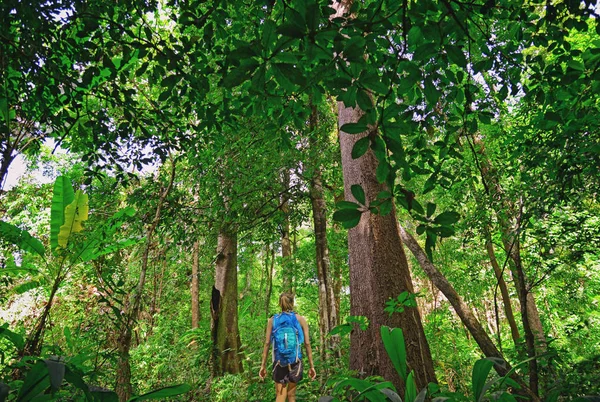 Touris Hiking Deep Jungle Khao Yai National Park Thailand Asia — Stok Foto