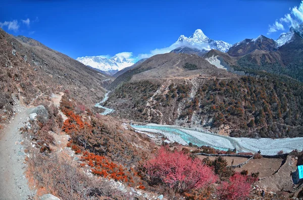 欣赏美丽的阿玛达布拉姆山 珠穆朗玛峰地区 萨加玛塔国家公园 昆布山谷 索鲁坎布 喜马拉雅山 尼泊尔 — 图库照片