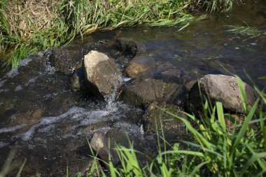 Taşların üzerinde akışı ile temiz su akar