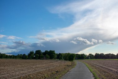 Köylülüğün road, ağaçlar, alanları ve mavi bulut gökyüzü. Yeri: Almanya, North Rhine - Westphalia