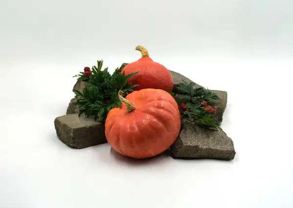 Gourds Hokkaido Gourd Decorative Stones Blackberries Studio Shot — Stock Photo, Image