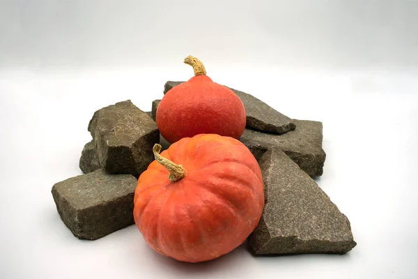 Decorative Squashes Hokkaido Squash Stones Studio Shot — Stock Photo, Image