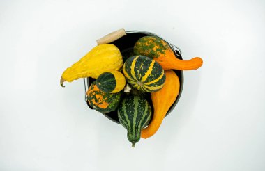 dekoratif bir kova içinde çeşitli süs squashes görüntülemek yukarıdan