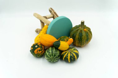 bir sandalye dekoratif dekoratif kabaklar türleri