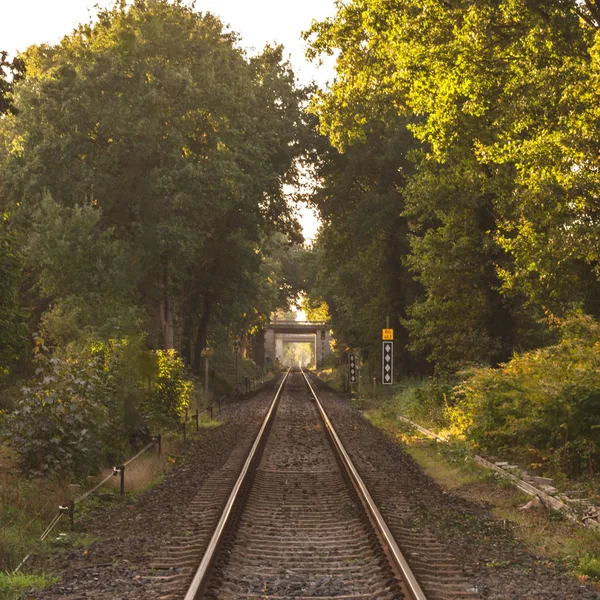 Rechte Enkele Railway Tracklocation Duitsland Noordrijn Westfalen — Stockfoto