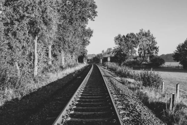 Schwarz Weiß Aufnahme Von Bahngleisen Ländlichen Raum Deutschland Nordrhein Westfalen — Stockfoto