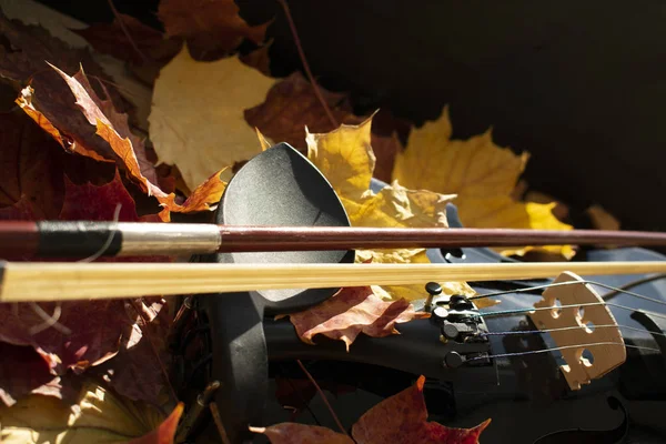 Detail of a black violin in maple leave