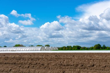 Mavi bulut gökyüzünde kuşkonmaz alanı ve sera ile Peyzaj.