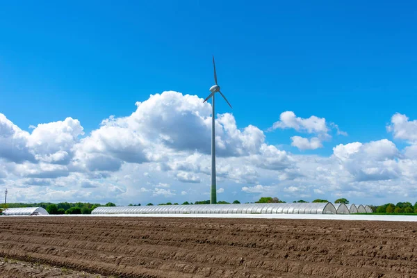 Landbouw en windkracht met asperge veld en kassen. — Stockfoto