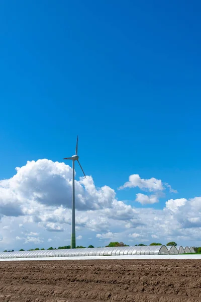 Landbouw en windkracht met asperge veld en kassen. — Stockfoto