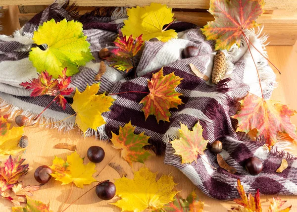 Herfst achtergrond met bladeren — Stockfoto