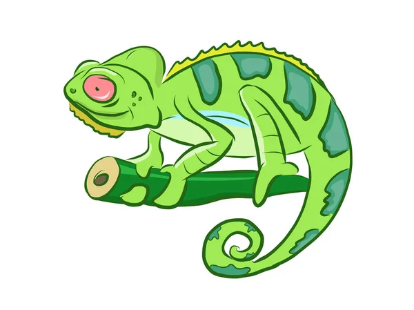 Colorful Chameleon Cartoon Clipart — Stock Vector