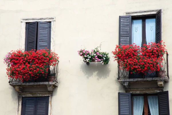 Fenêtre Balcon Fleuri Avec Des Fleurs Avec Des Pots Géraniums — Photo