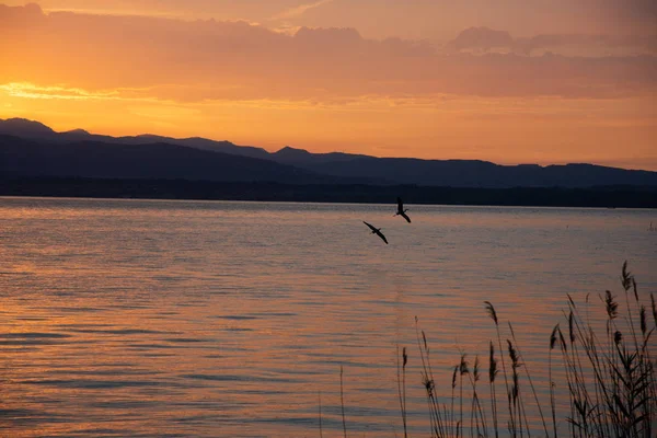 湖上日出 清晨的全景 山在剪影和上升的太阳的光芒 鸟儿在空中飞翔 在意大利的爱尔兰湖日出 — 图库照片