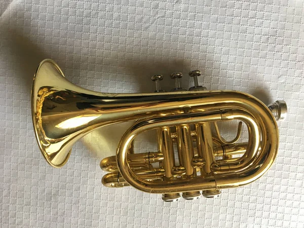 Beyaz Arka Plan Üzerinde Izole Klasik Mini Trompet — Stok fotoğraf