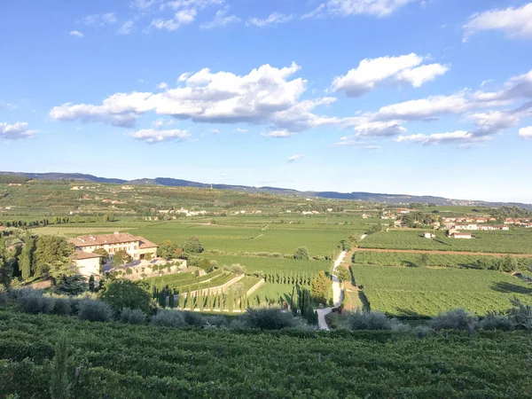 田舎風景 ヴァルポリチェッラ 州ヴェローナの北イタリア イタリアのブドウ畑 雲とヴァルポリチェッラのワイン地方のブドウ畑のある風景します ブレの田舎で表示します — ストック写真
