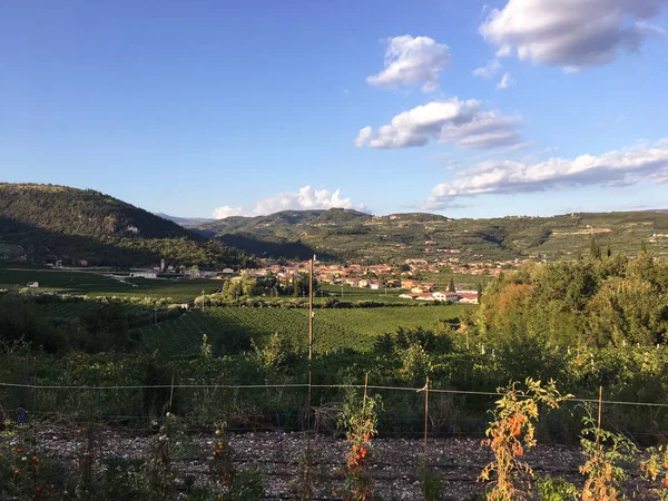 田舎風景 ヴァルポリチェッラ 州ヴェローナの北イタリア イタリアのブドウ畑 雲とヴァルポリチェッラのワイン地方のブドウ畑のある風景します フマーネ村へを表示します — ストック写真